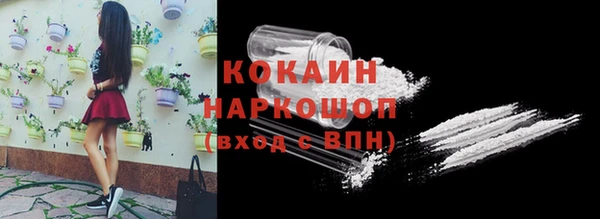 ешки Гусев