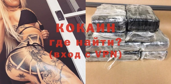 ешки Гусев