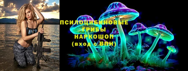прущая мука Гусь-Хрустальный