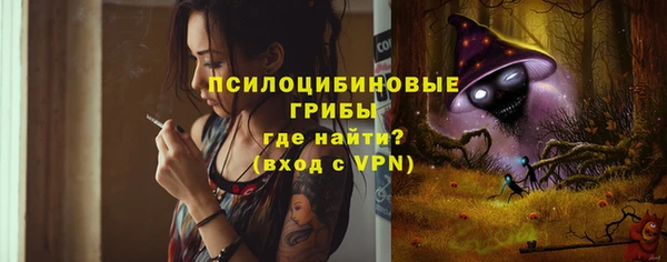 прущая мука Гусь-Хрустальный
