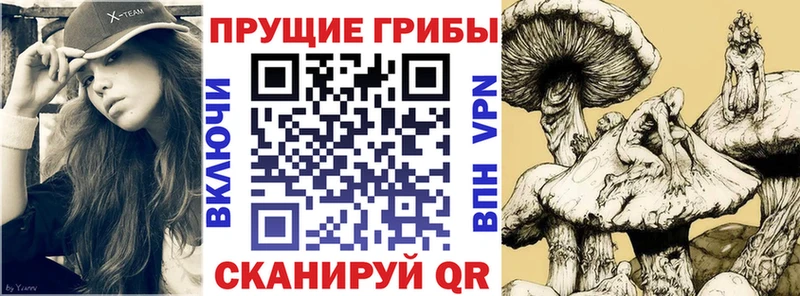 Галлюциногенные грибы мицелий  Купить где  Козловка 